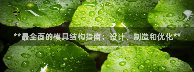 太阳集团电子游戏：**最全面的模具结构指南：设计、制造和优化**