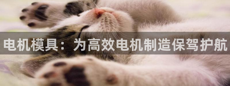 太阳集团怎么样：电机模具：为高效电机制造保驾护航