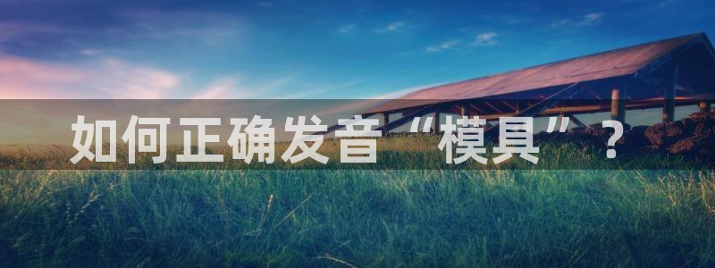 太阳董事长：如何正确发音“模具”？