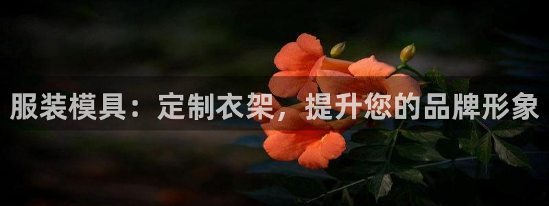 太阳成集团tyc234cc主页网站：服装模具：定制衣架，提升您的品牌形象