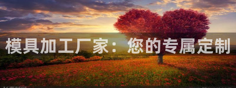 太阳诚集团有限公司怎么样：模具加工厂家：您的专属定制