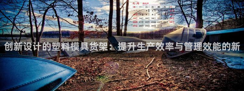 44118太阳成城集团：创新设计的塑料模具货架：提升生产效率与管理效能的新