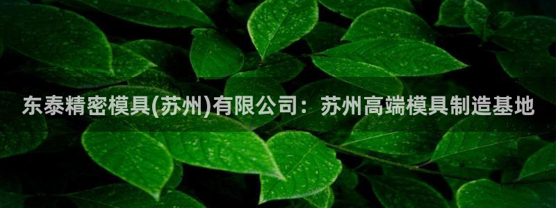 太阳集团城2018网站：东泰精密模具(苏州)有限公司：苏州高端模具制造基地