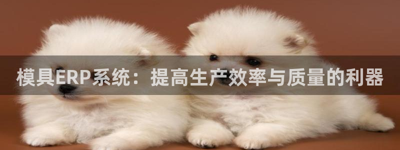 太阳诚集团视频：模具ERP系统：提高生产效率与质量的利器