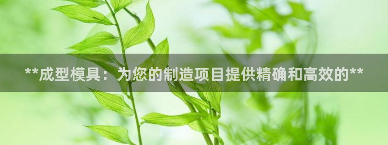 太阳集团董事长是谁：**成型模具：为您的制造项目提供精确和高效的**