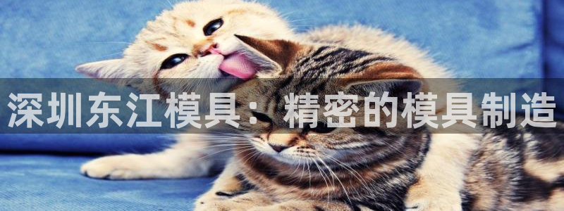 太阳集团城官网1407：深圳东江模具：精密的模具制造