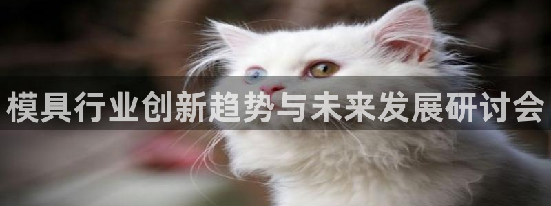 太阳gg登录首页：模具行业创新趋势与未来发展研讨会