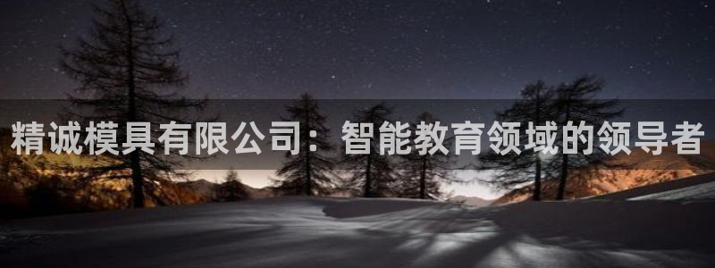 太阳成集团电影：精诚模具有限公司：智能教育领域的领导者