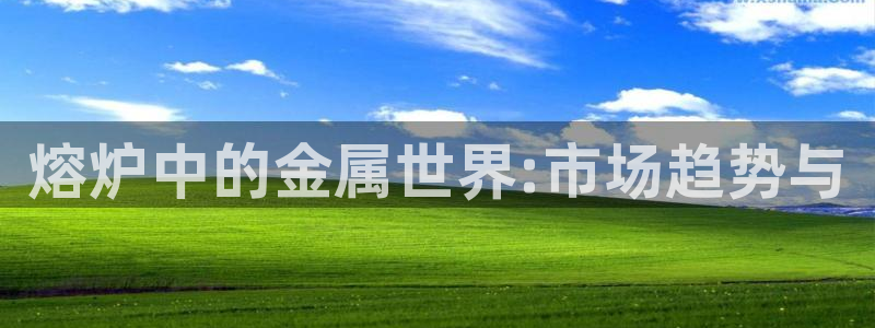 太阳集团tcy8099：熔炉中的金属世界:市场趋势与