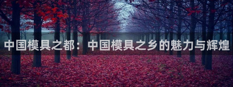 太阳控股集团有限公司董事长：中国模具之都：中国模具之乡的魅力与辉煌
