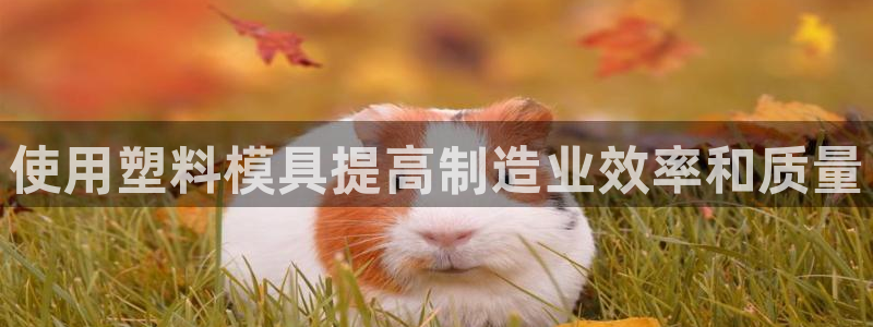 太阳集团官网8722：使用塑料模具提高制造业效率和质量