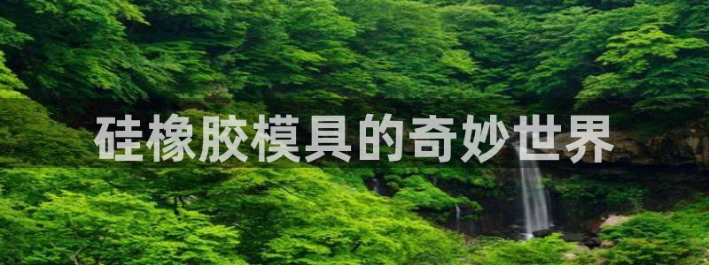 太阳成集团tyc1050：硅橡胶模具的奇妙世界