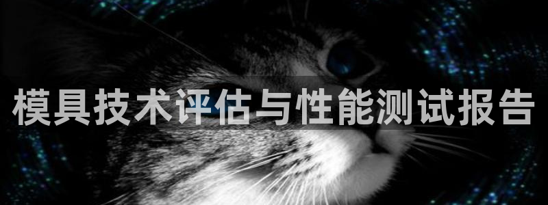 太阳集团娱乐网8722手机登录：模具技术评估与性能测试报告