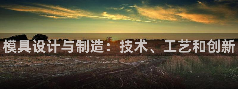 太阳影视公司：模具设计与制造：技术、工艺和创新