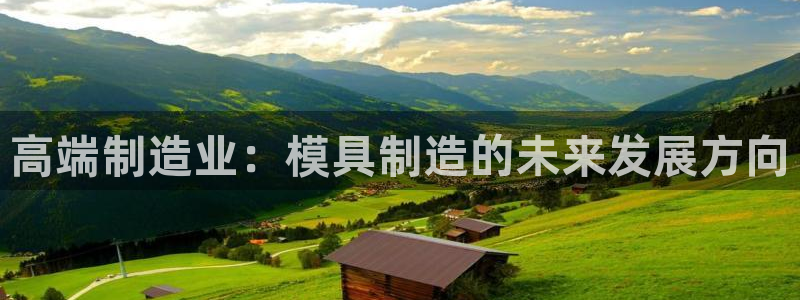 太阳集团下载链接app：高端制造业：模具制造的未来发展方向