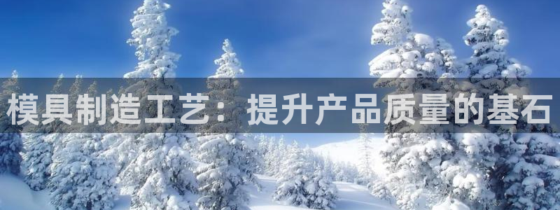 太阳集团tcy8722贵宾会：模具制造工艺：提升产品质量的基石