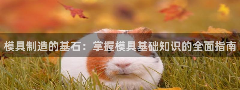 澳门太阳集团老板洗米华：模具制造的基石：掌握模具基础知识的全面指南