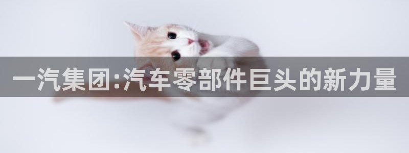 太阳集团电子游戏如何赚钱：一汽集团:汽车零部件巨头的新力量
