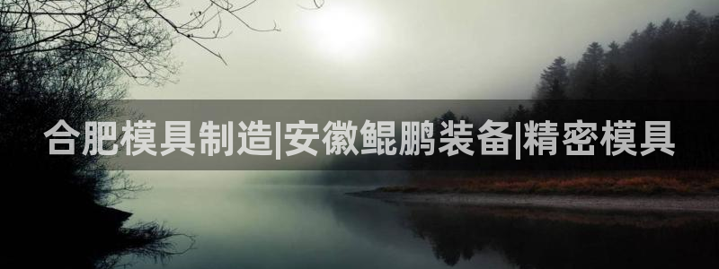 太阳集团网站入口官网网址：合肥模具制造|安徽鲲鹏装备|精密模具