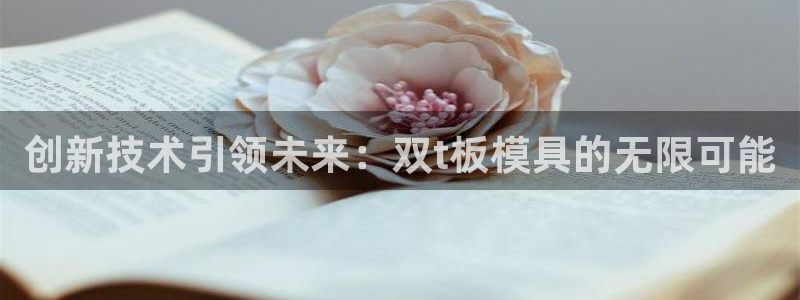 太阳成集团tyc234cc[主页]振：创新技术引领未来：双t板模具的无限可能