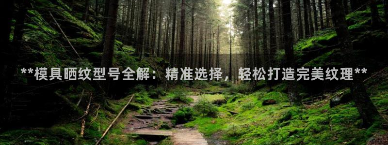 太阳科技集团：**模具晒纹型号全解：精准选择，轻松打造完美纹理**
