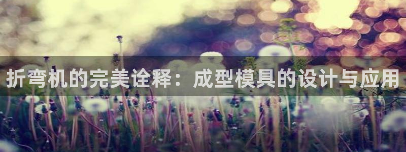 太阳成集团tyc234cc主页网站：折弯机的完美诠释：成型模具的设计与应用