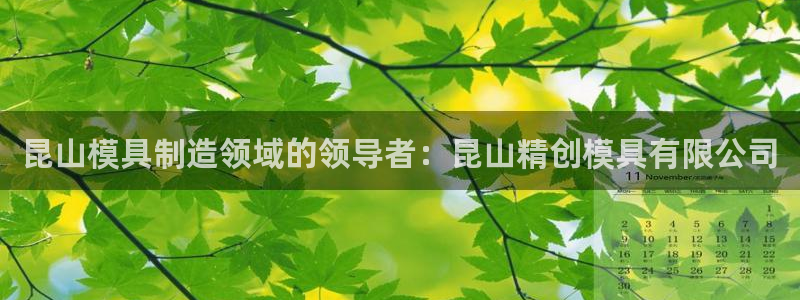 太阳集团城所有网址：昆山模具制造领域的领导者：昆山精创模具有限公司