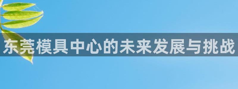 太阳诚集团有限公司地址