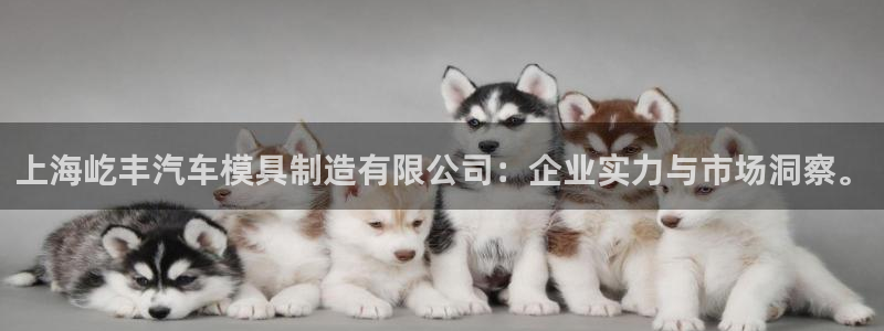 122cc太阳集成游戏：上海屹丰汽车模具制造有限公司：企业实力与市场洞察。