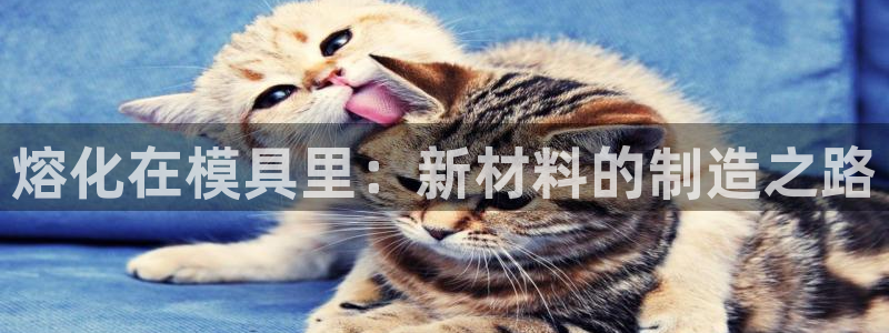 太阳集团所有网址16877：熔化在模具里：新材料的制造之路