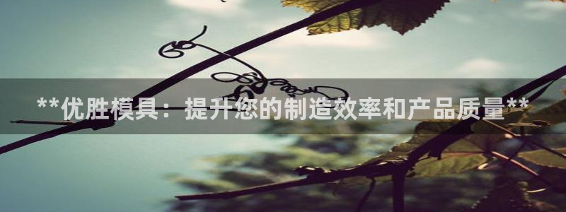 太阳2平台app下载：**优胜模具：提升您的制造效率和产品质量**