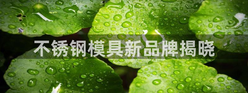 太阳成集团tyc7111cc电影：不锈钢模具新品牌揭晓