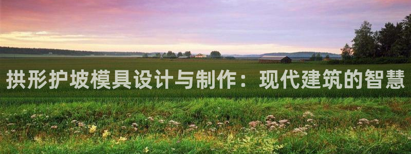 太阳sun网站：拱形护坡模具设计与制作：现代建筑的智慧