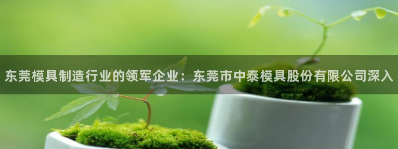 太阳集团官网：东莞模具制造行业的领军企业：东莞市中泰模具股份有限公司深入