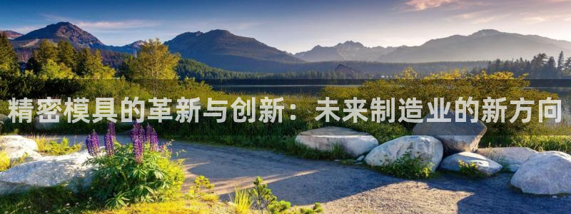 太阳集团电子游戏宙斯：精密模具的革新与创新：未来制造业的新方向
