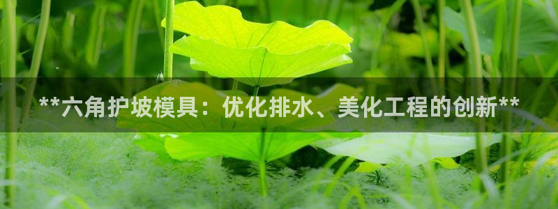 太阳集团网站入口官网：**六角护坡模具：优化排水、美化工程的创新**