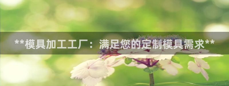 太阳成集团app下载：**模具加工工厂：满足您的定制模具需求**