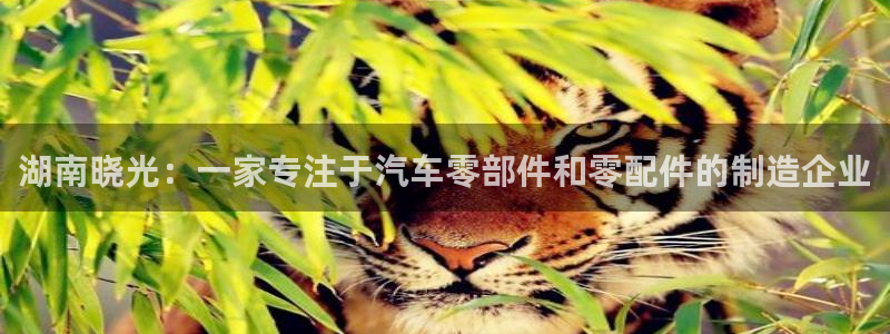 太阳集团游戏官网：湖南晓光：一家专注于汽车零部件和零配件的制造企业