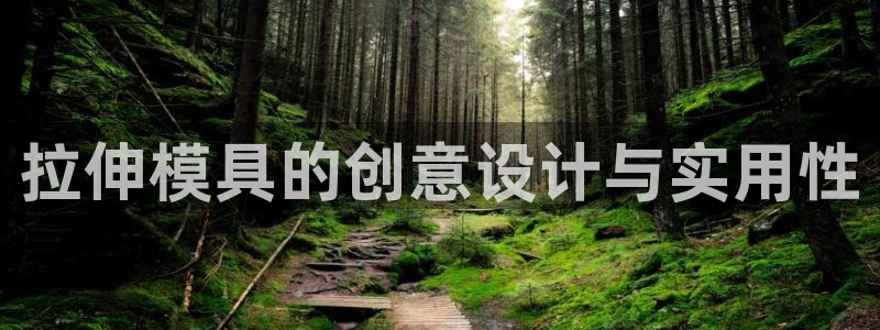 太阳集团是什么：拉伸模具的创意设计与实用性
