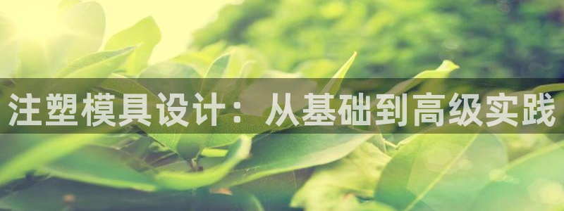 太阳集团游戏城(138)官方网址：注塑模具设计：从基础到高级实践