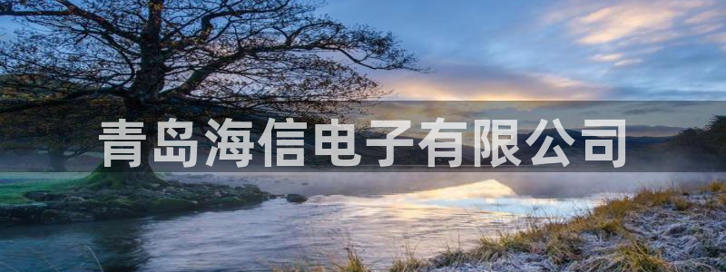 太阳gg注册/登录：青岛海信电子有限公司