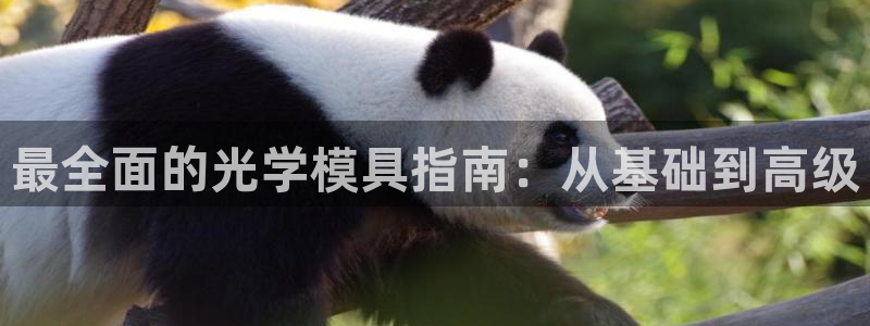 太阳集团网站古天乐代言的：最全面的光学模具指南：从基础到高级