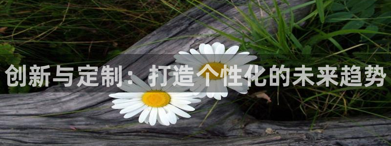 太阳集团网站：创新与定制：打造个性化的未来趋势