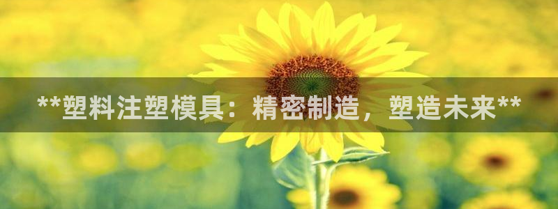 太阳gg注册登录：**塑料注塑模具：精密制造，塑造未来**