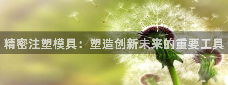 太阳成集团tyc122cc客服：精密注塑模具：塑造创新未来的