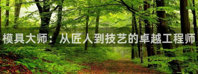 太阳成集团tyc234cc：模具大师：从匠人到技艺的卓越工程师