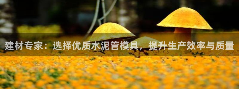 太阳集团城网站2007