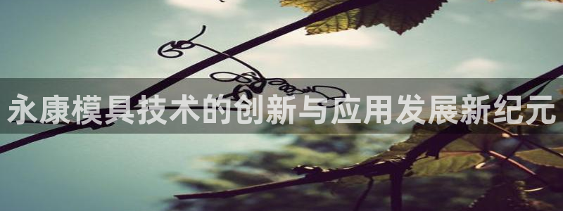 太阳成集团tyc234cc古天乐下载：永康模具技术的创新与应用发展新纪元