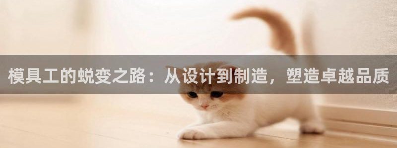 太阳集团游戏城旧版5376：模具工的蜕变之路：从设计到制造，塑造卓越品质