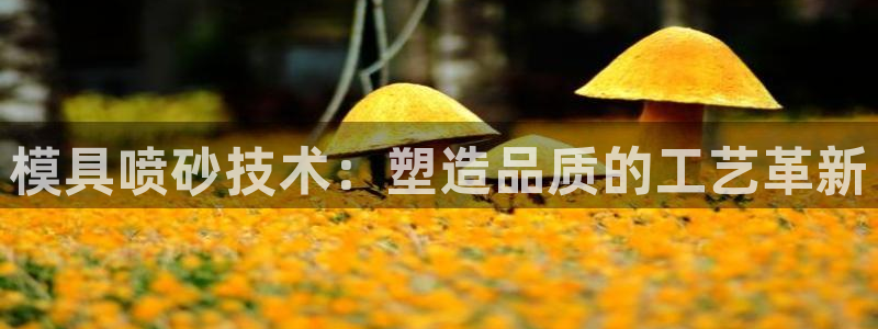太阳集团sungroup：模具喷砂技术：塑造品质的工艺革新